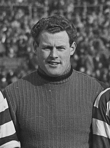 Herman Raalte