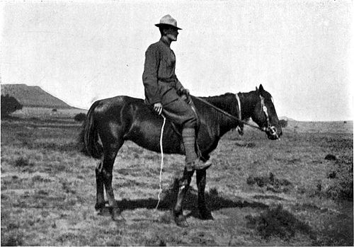 Howard Clemens Hillegas