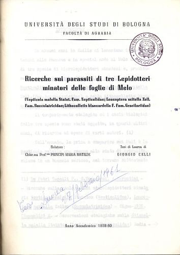 Giorgio Celli
