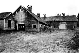 Mary Willis Randlett