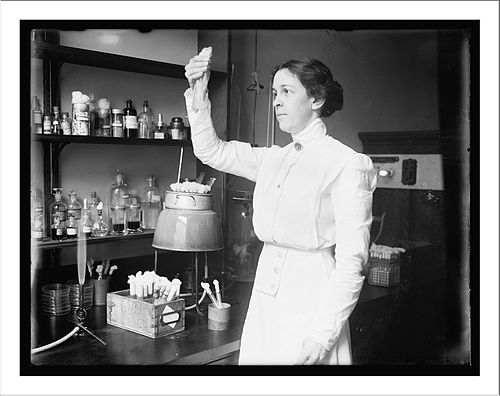 Alice Catherine Evans