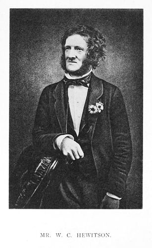 William Hewitson