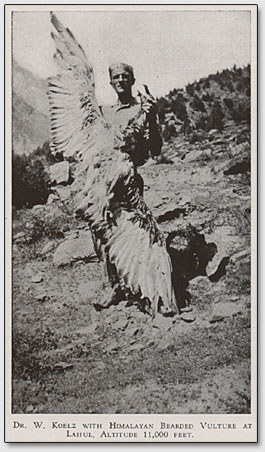 Walter Norman Koelz