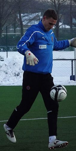 Sven Dhoest