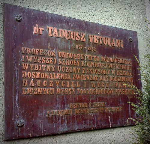Tadeusz Vetulani