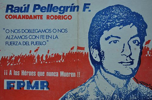 Raul Pellegrin