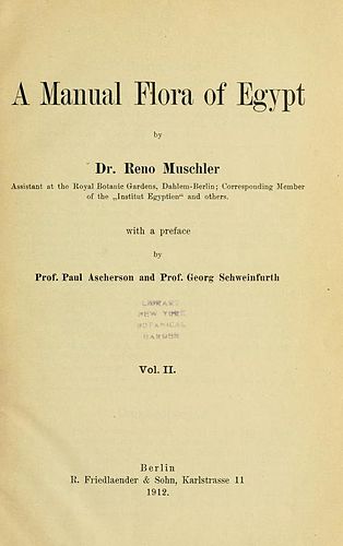Reinhold Muschler