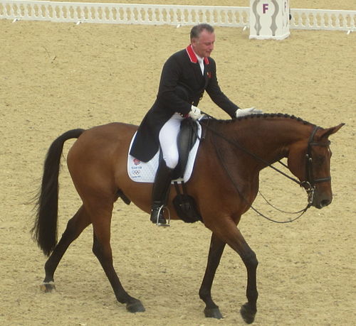 Richard Davison