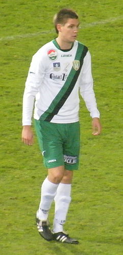 Richard Guzmics