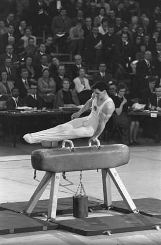 Miroslav Cerar