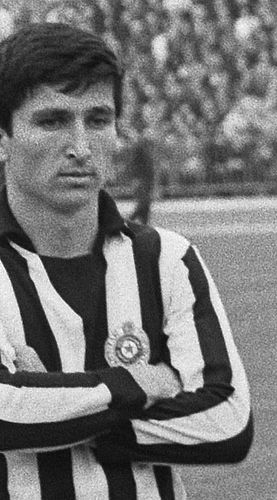 Mustafa Hasanagic