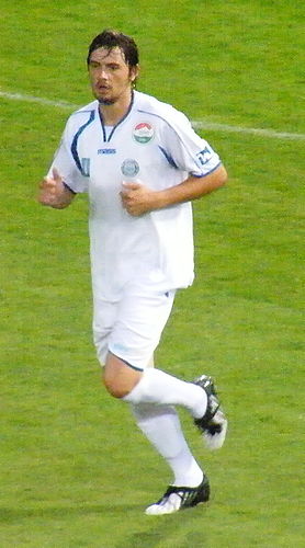 Nenad Todorovic