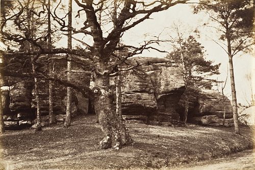 Augusta Mostyn