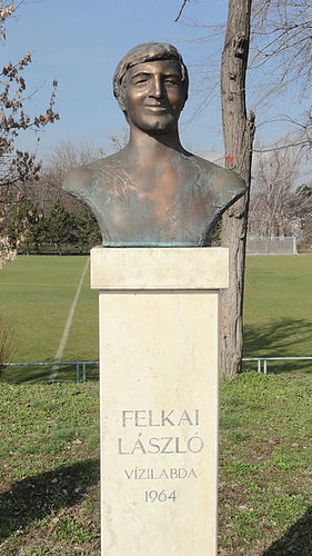 Laszlo Felkai