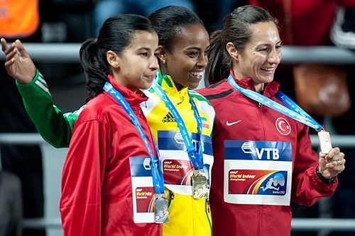 Mariem Alaoui Selsouli
