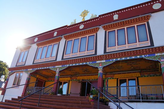 Gallery of Surya Das