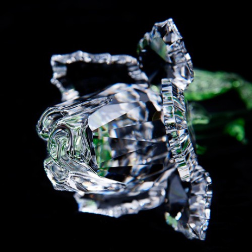 Crystal Rose Award (2003)