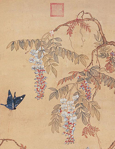Xu Xi