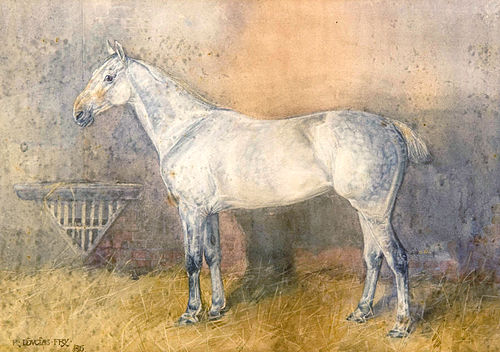 Douglas Fry