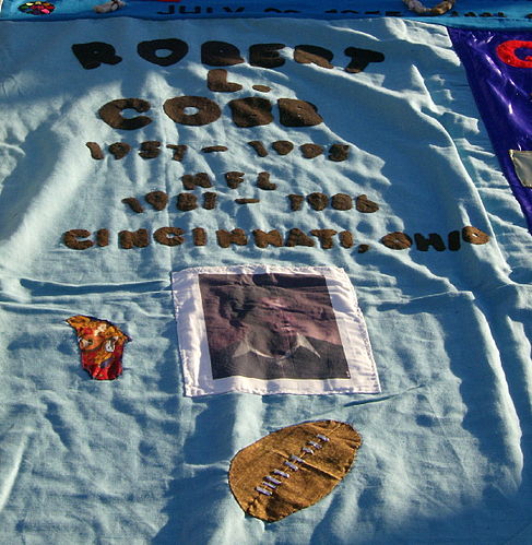 Robert Cobb
