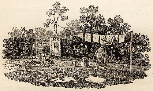 Jane Bewick