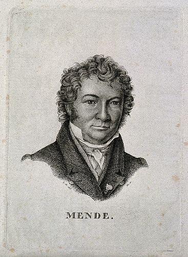 Ludwig Mende