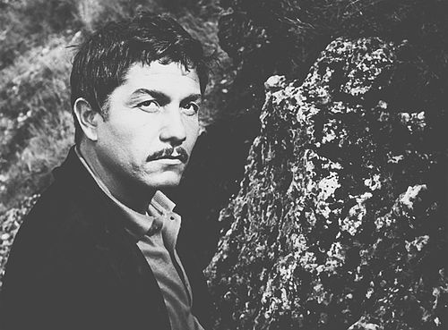 Mihai Volontir