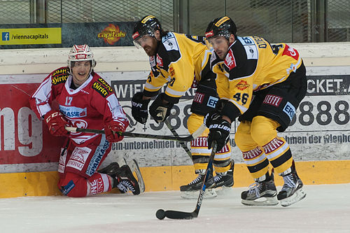 Matt Dzieduszycki