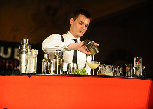 Marcis Dzelzainis