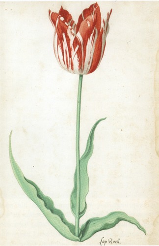Pieter Holsteyn