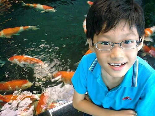 Lim Ding Wen