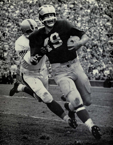 Bob Ptacek