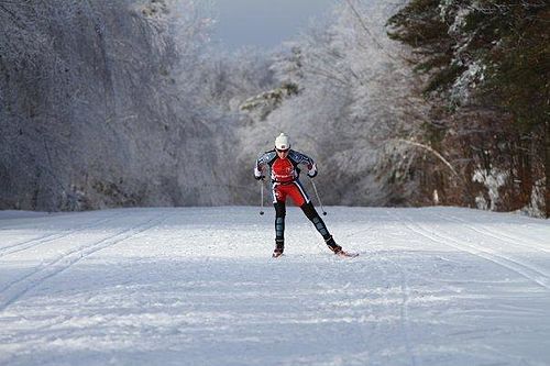 Lise Meloche