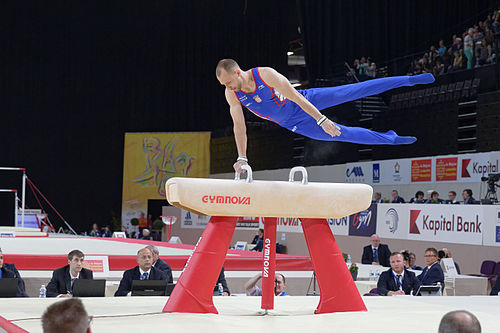 Robert Seligman