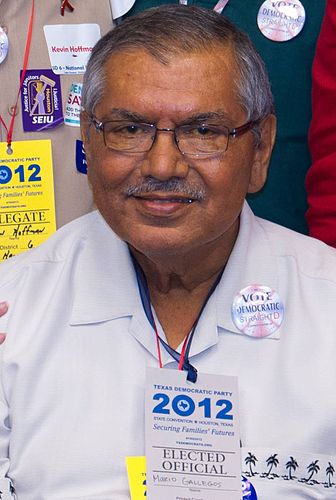 Mario Valentin Gallegos