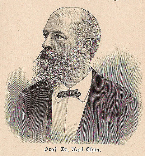 Carl Chun