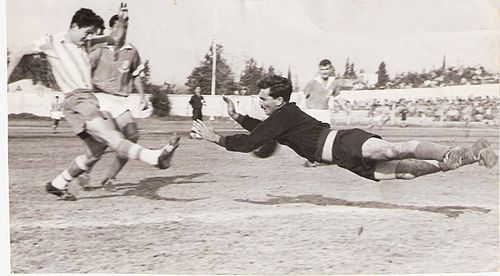Nahum Stelmach