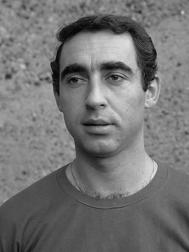 Nedeljko Bulatovic