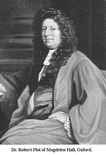 Gallery of Robert Plot
