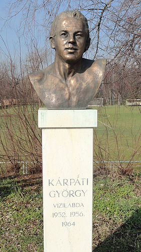 Gyorgy Karpati