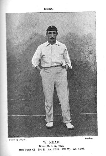 Walter Mead