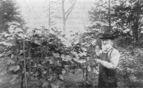 Ephraim Wales Bulletin