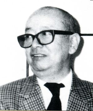 Yamaguchi Hitomi