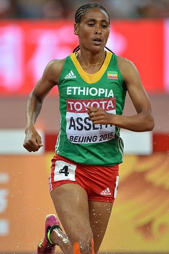 Sofia Assefa