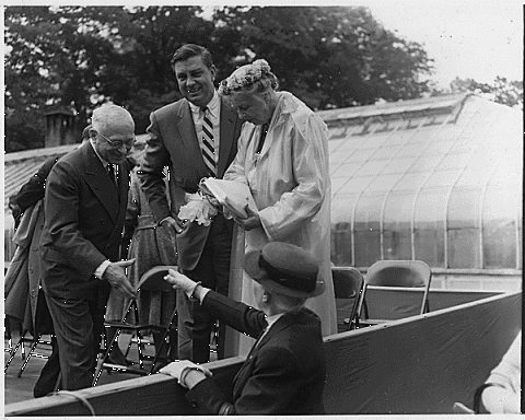 Gallery of Felix Frankfurter