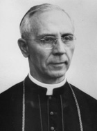 Guillaume Cobben