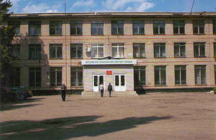 Gallery of Ivan Podguzov