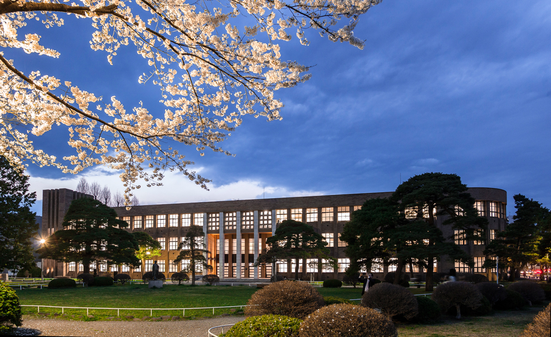 Gallery of Yasushi Watanabe