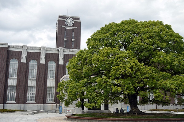 Gallery of Yoichiro Watanabe