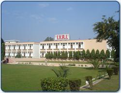 Gallery of Bhudeb Basu